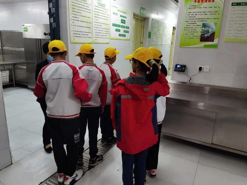 校多部門聯合檢查，提升餐飲服務質量