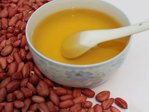 東莞全家福膳食糧油配送服務(wù) 價格詳情與餐飲解決方案